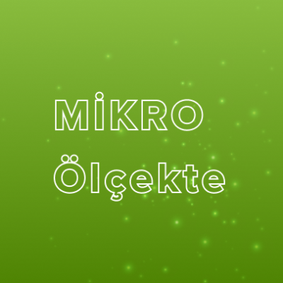 Image (6)